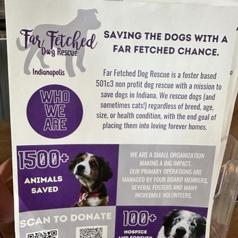 Far Fetched Dog Rescue - Animal Shelters Near Me Far Fetched Dog Rescue - Animal Shelters Near Me