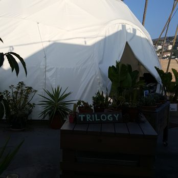 Trilogy Sanctuary - Juice Bars & Smoothies Near Me - La Jolla, California Trilogy Sanctuary - Juice Bars & Smoothies Near Me - La Jolla, California