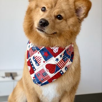 Mandy’s Spaw - Pet Groomers Near Me - Chula Vista, California Mandy’s Spaw - Pet Groomers Near Me - Chula Vista, California