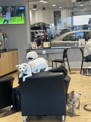 Mercedes-Benz of Springfield