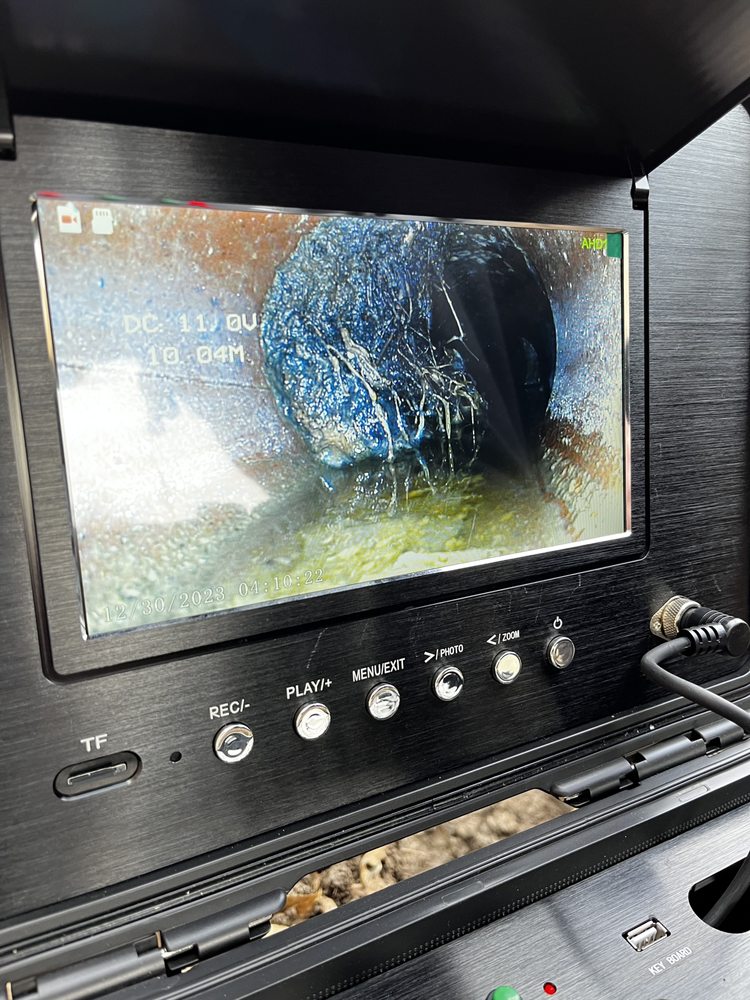 Slide of Arkansas Rooter