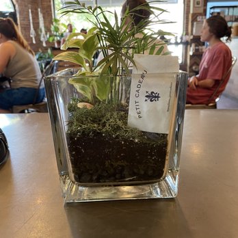 Bold Bean Coffee Roasters - Riverside - Coffee & Tea Near Me - Jacksonville, Florida