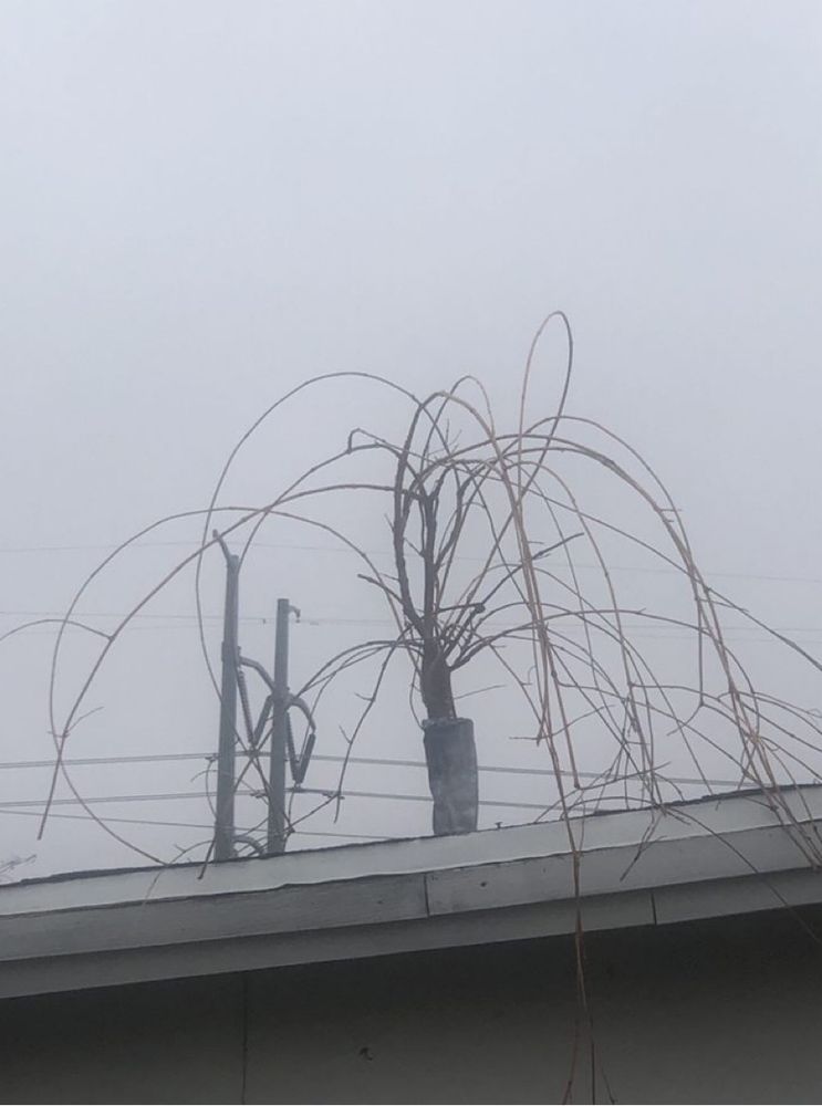 Slide of Blue Nail Roofing & Construction