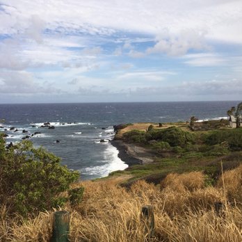 Polynesian Adventure - Bus Tours Near Me - Honolulu, Hawaii Polynesian Adventure - Bus Tours Near Me - Honolulu, Hawaii