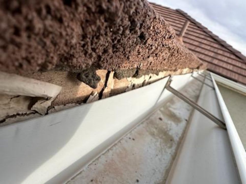 Slide of Sendit Roof Repair