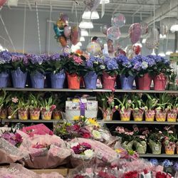 Publix Super Markets