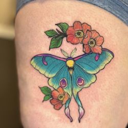 Apollo Tattoo - Moth by Coyo