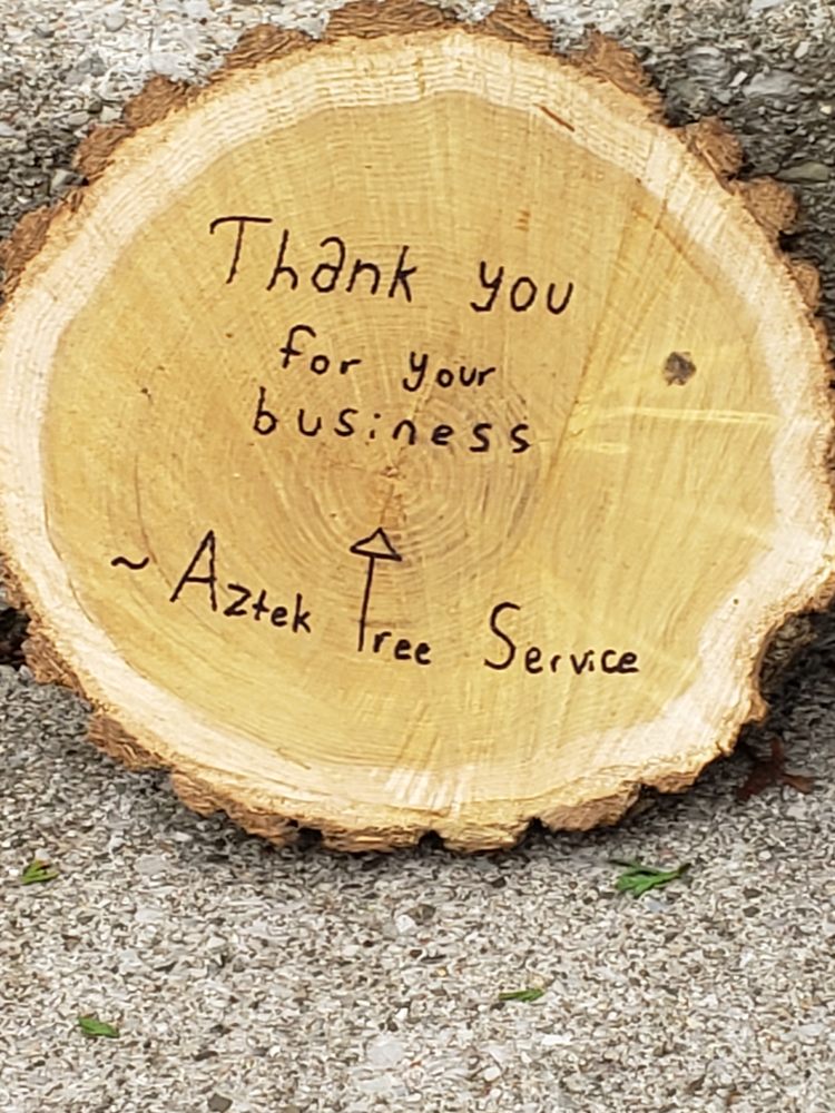 AZTEK TREE SERVICE Updated June 2024 Request a Quote 14 Photos