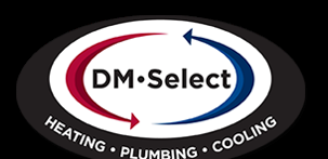Slide of DM Select Services