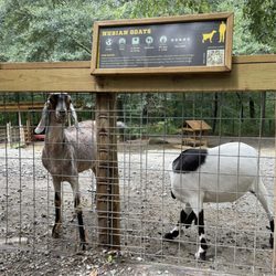 Yellow River Wildlife Sanctuary