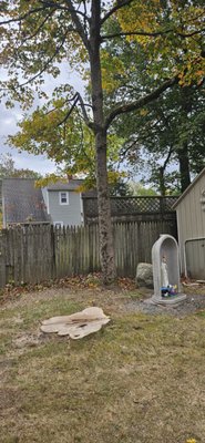 All Access Landscaping and Tree Service