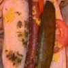 Arnie's Dog House gift card