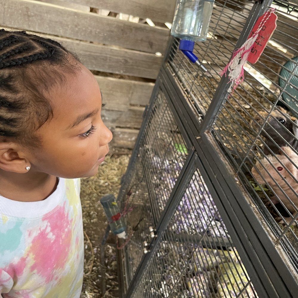 Happi Farm - Community Service/Non-Profit Near Me - Davie, Florida Happi Farm - Community Service/Non-Profit Near Me - Davie, Florida
