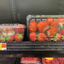 Moldy Strawberries Moldy Strawberries