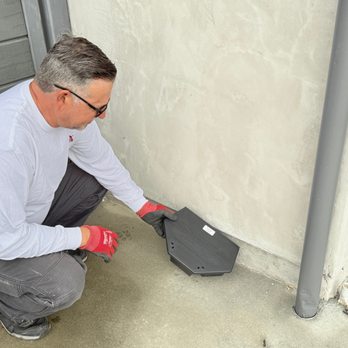 Annex Pest Control - Pest Control Near Me - El Cajon, California Annex Pest Control - Pest Control Near Me - El Cajon, California