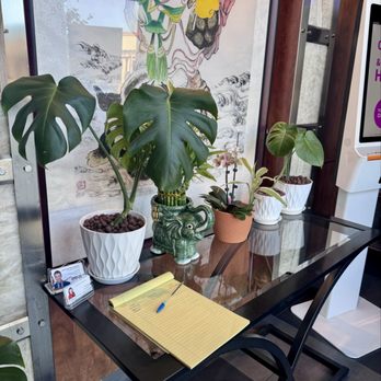 Chef K - Loved all the monstera plants - Chinese Near Me - Temecula, California