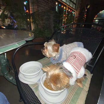 Pujo St Cafe - Cafes Near Me - Lake Charles, Louisiana Pujo St Cafe - Cafes Near Me - Lake Charles, Louisiana