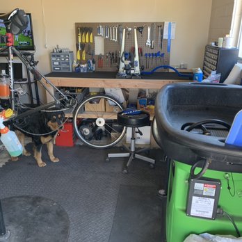 Deft Cycle - shop dogs - Bike Repair/Maintenance Near Me - Tempe , Arizona Deft Cycle - shop dogs - Bike Repair/Maintenance Near Me - Tempe , Arizona