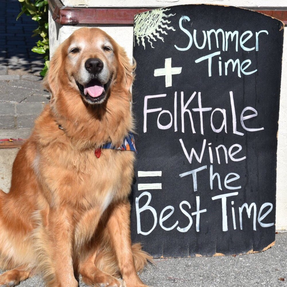 Folktale Winery - Declan gives a big paws up to Folktale Winery!! - Wineries Near Me - Carmel, California Folktale Winery - Declan gives a big paws up to Folktale Winery!! - Wineries Near Me - Carmel, California