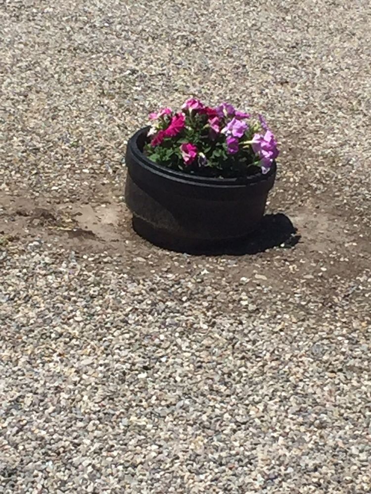 SLEEPY BEAR RV PARK & CAMPING Updated September 2024 3026 Swan