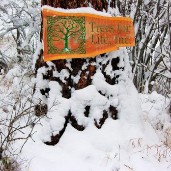 Trees For Life Montana - Tree Services Near Me Trees For Life Montana - Tree Services Near Me