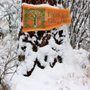 Photo of Trees For Life Montana