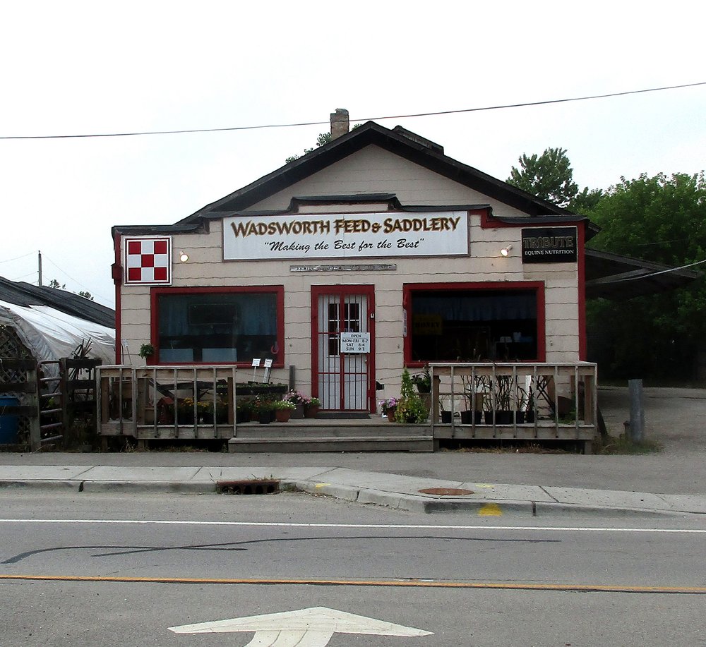 WADSWORTH FEED & SADDLERY Updated August 2024 15250 W Wadsworth Rd, Wadsworth, Illinois