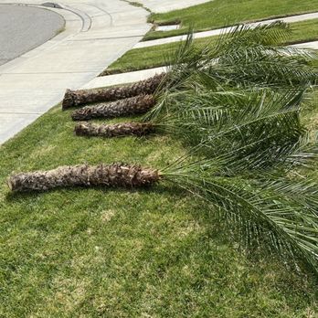 Eder Tree Service and Lawn Maintenance - Tree Services Near Me - Riverside, California Eder Tree Service and Lawn Maintenance - Tree Services Near Me - Riverside, California