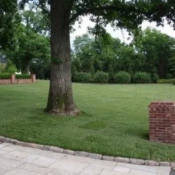 Midwest Turf - a lawn with a brick wall and trees - Landscaping Near Me - O'Fallon, Missouri Midwest Turf - a lawn with a brick wall and trees - Landscaping Near Me - O'Fallon, Missouri