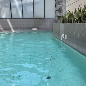 Hotel Derek - Dirty pool - Hotels Near Me - Houston, Texas