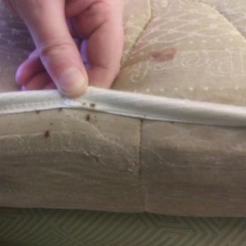 Motel 6 - BED BUGS motel 6 - Hotels Near Me - Warminster, Pennsylvania Motel 6 - BED BUGS motel 6 - Hotels Near Me - Warminster, Pennsylvania