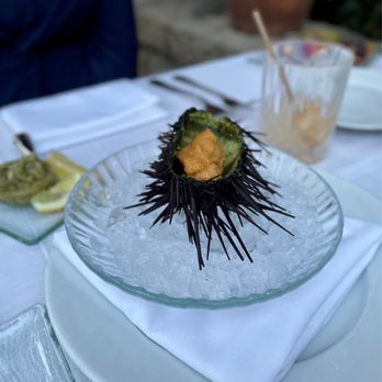 The Stonehouse Restaurant - Sea Urchin - New American Near Me - Santa Barbara, California The Stonehouse Restaurant - Sea Urchin - New American Near Me - Santa Barbara, California