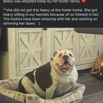 Pupz N Palz Rescue - Animal Shelters Near Me - Modesto, California Pupz N Palz Rescue - Animal Shelters Near Me - Modesto, California