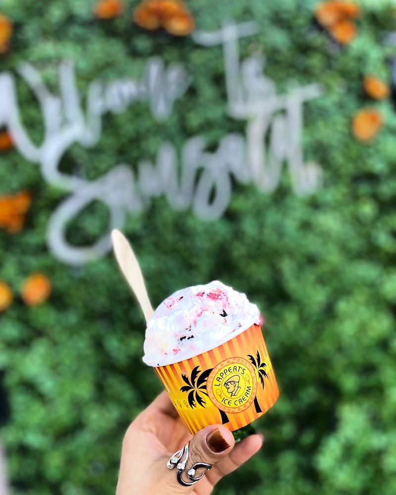 LAPPERT’S ICE CREAM 1013 Photos & 839 Reviews Ice Cream & Frozen