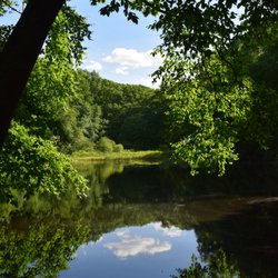 Connors Farm Conservation Area