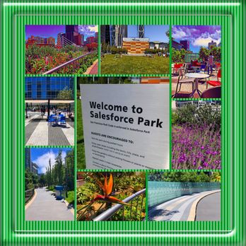 Salesforce Park - Montage of images from Salesforce Park - Parks Near Me - San Francisco, California