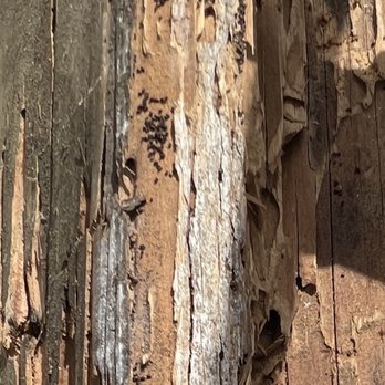 Great Wall Termite Control - Major damage Great Wall missed during inspection - Pest Control Near Me - San Jose, California