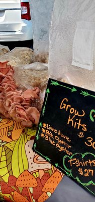 Sunday Brunch Farmers Market by null