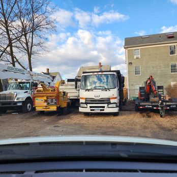 Angelo Tree Service - Tree Services Near Me - Danbury, Connecticut