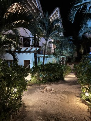 Villas HM Palapas del Mar by null