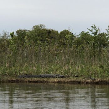 Airboat Adventures - 13 footer - Boat Tours Near Me - Lafitte, Louisiana Airboat Adventures - 13 footer - Boat Tours Near Me - Lafitte, Louisiana