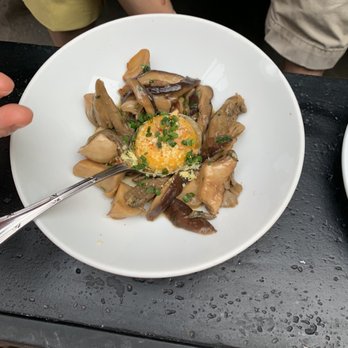 Toro - Mushroom ragu - Tapas Bars Near Me - Boston, Massachusetts