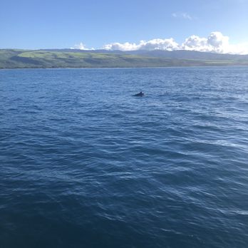 Capt Andy's - Boat Tours Near Me - Ele'ele, Hawaii Capt Andy's - Boat Tours Near Me - Ele'ele, Hawaii