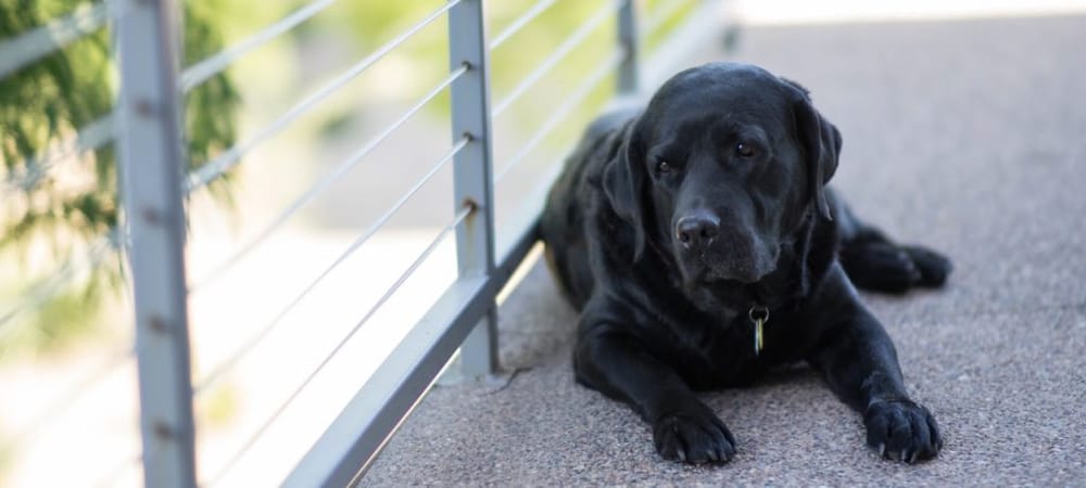 Slide of Aaron's Excavating