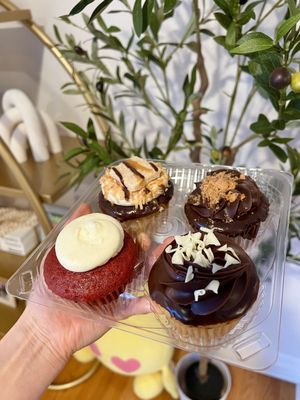 Molly's Cupcakes by null