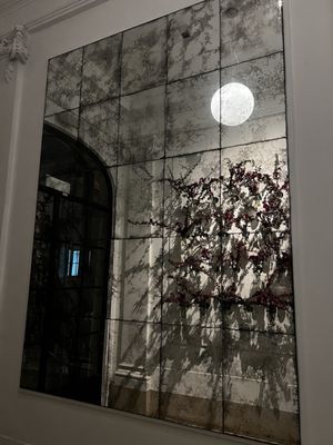 Casa Cavia by null