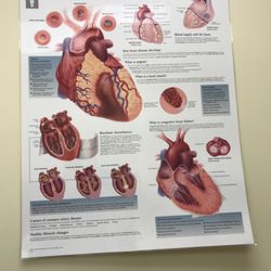 Lexington Cardiology Consultants - Informational poster
