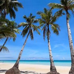 Boracay Sailing