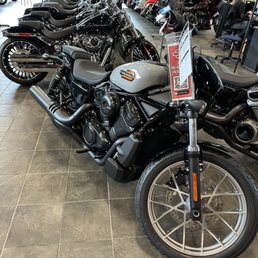 The new Harley! The new Harley!