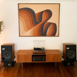 Shelley's Stereo & Video - My majestic serviced LP12